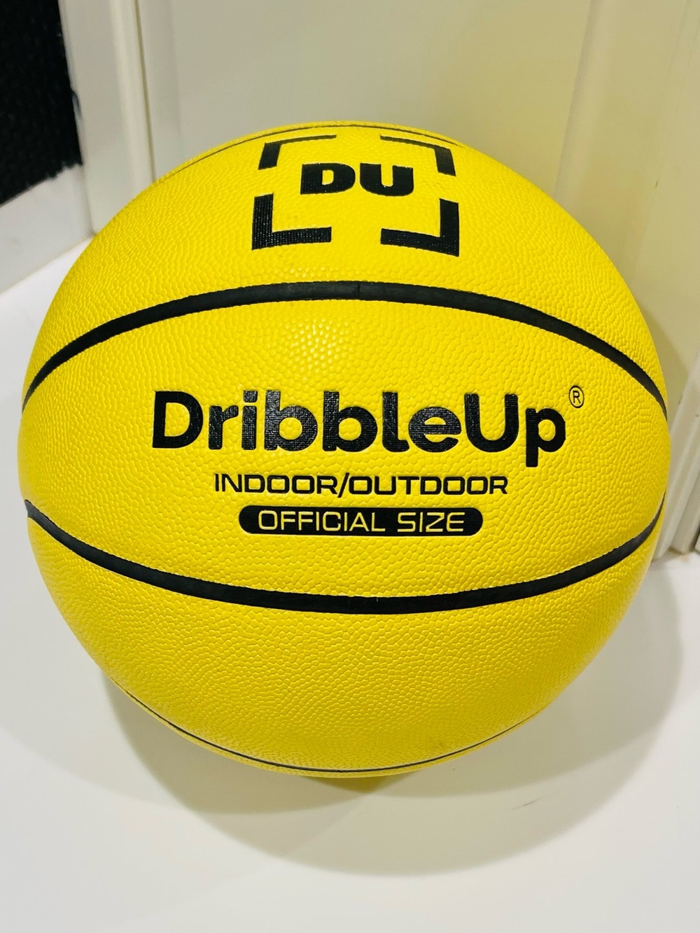 Dribble Up Smart Basketball NWOT